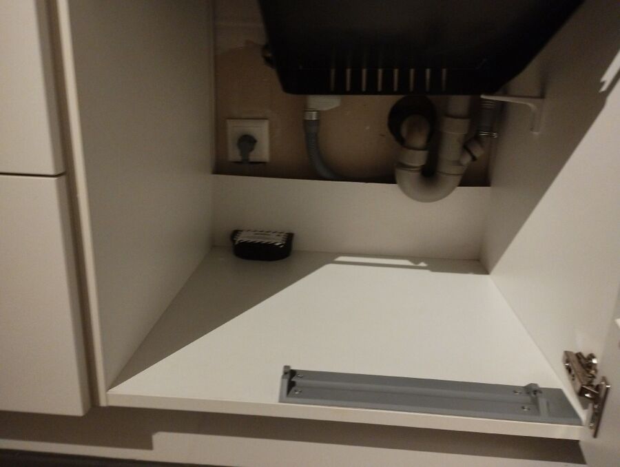 ratton-rats-rongeur-souris-deratiseur