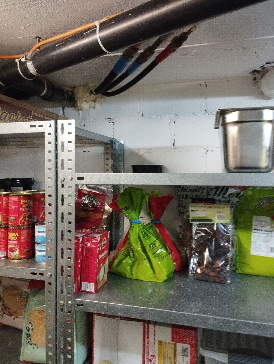 lutte-mulot-rats-rongeurs-souris