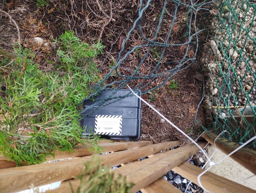 combattre-rats-ratton-rongeur-mulot