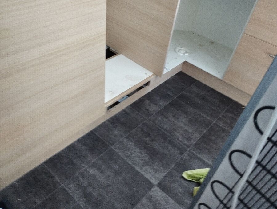 ratton-rats-rongeur-souris-deratiseur