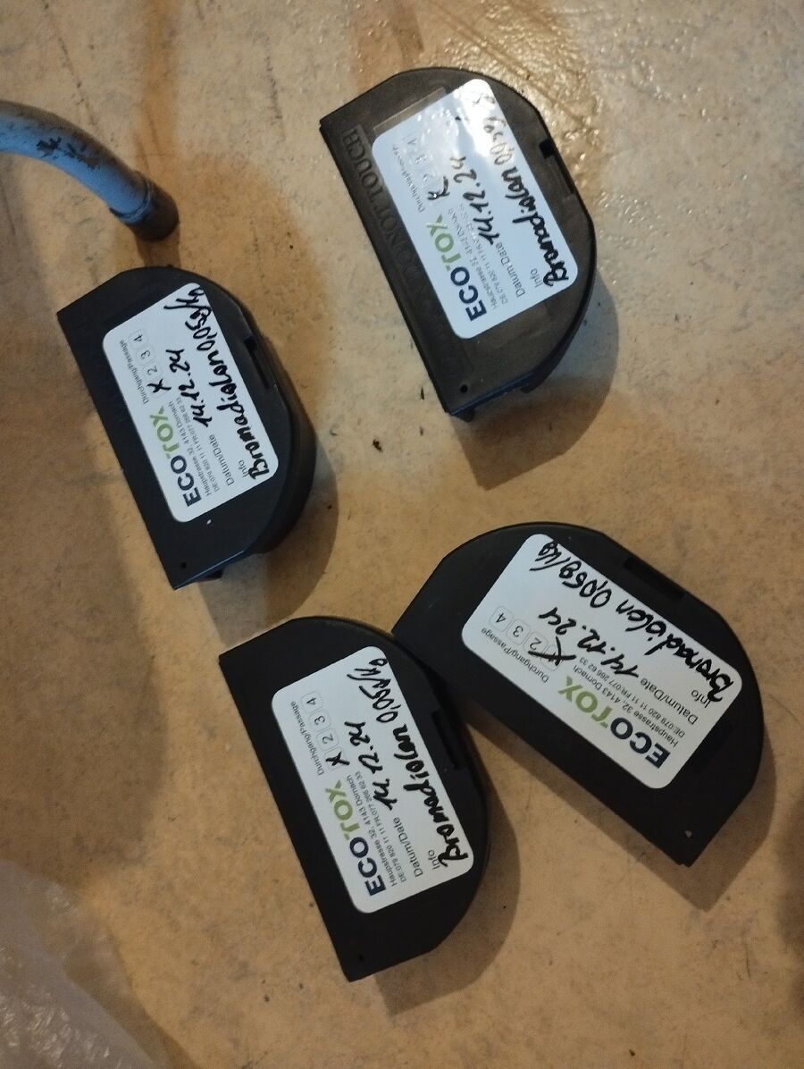 ratton-rats-rongeur-souris-deratiseur