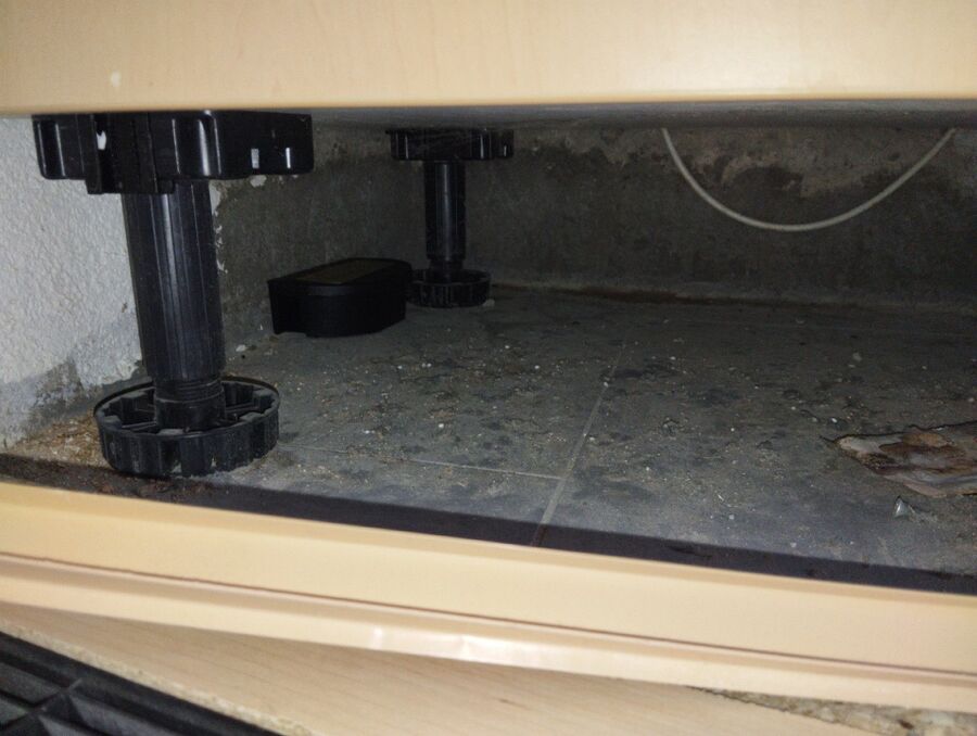 ratton-rats-rongeur-souris-deratiseur