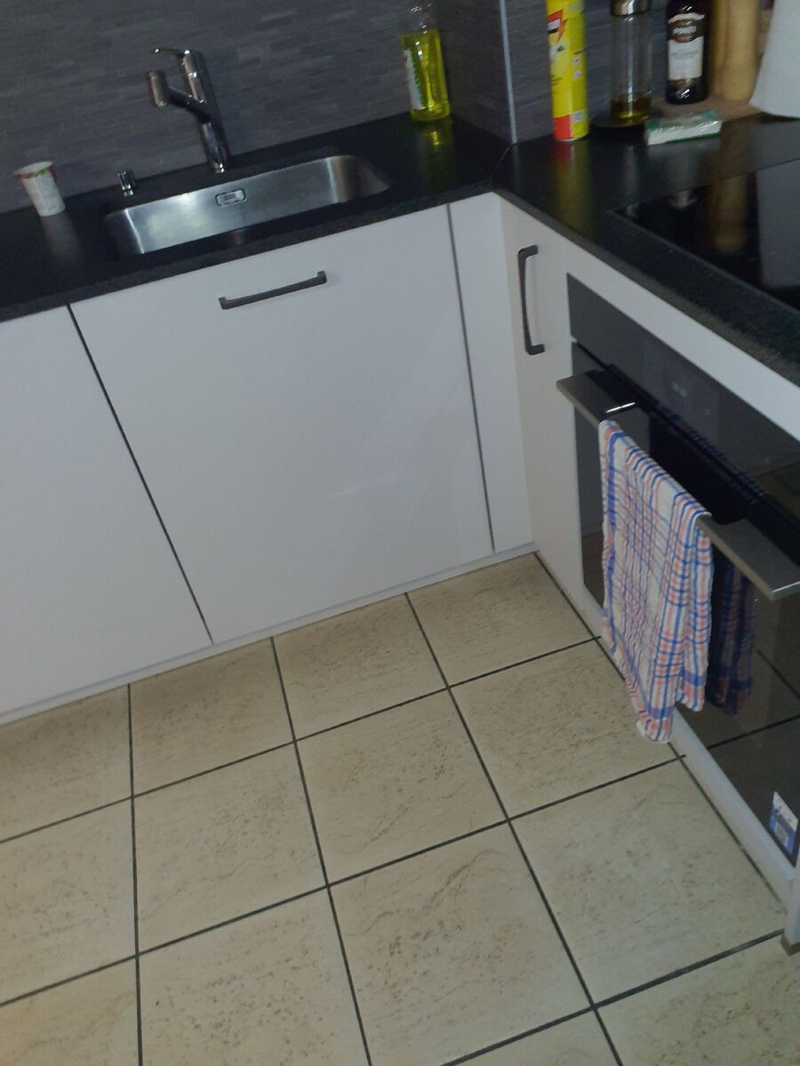 ratton-rats-rongeur-souris-deratiseur