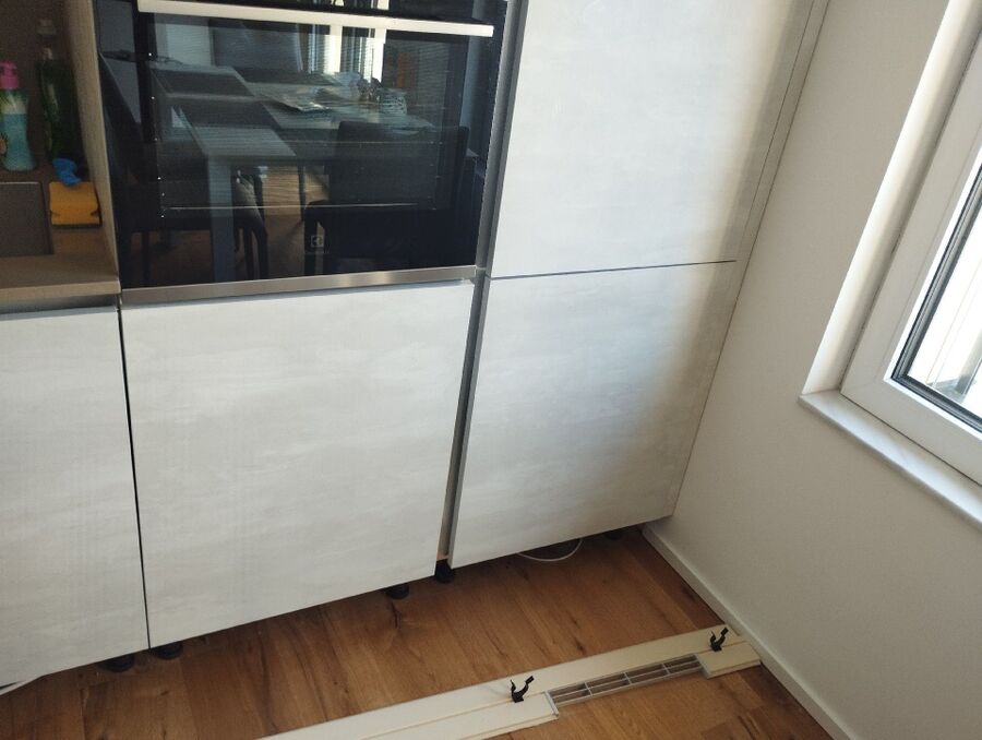 ratton-rats-rongeur-souris-deratiseur