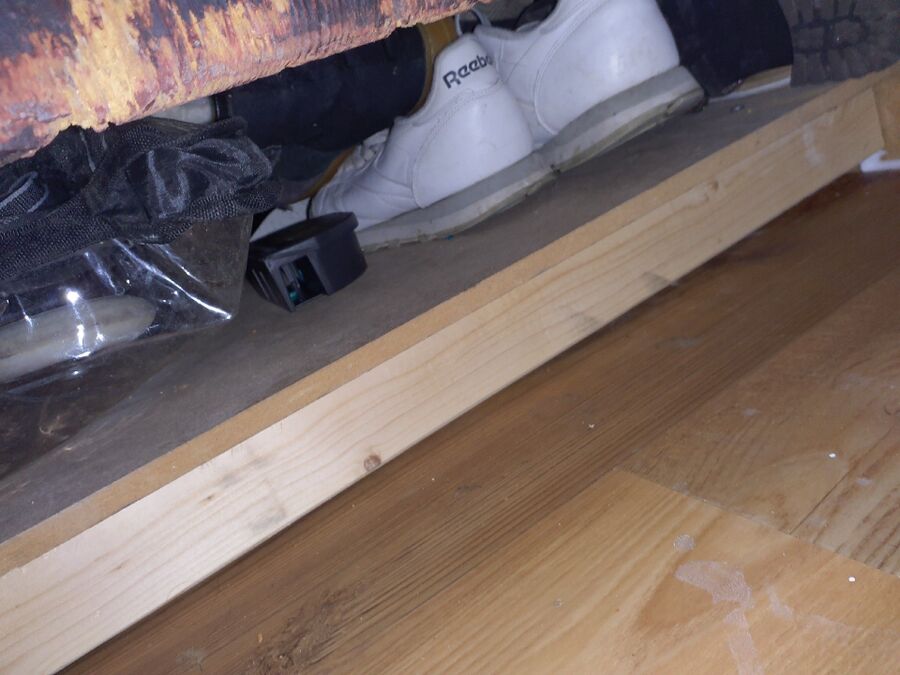 combattre-rats-ratton-rongeur-mulot