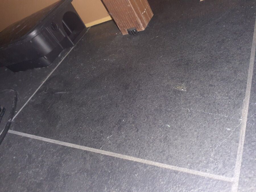 ratton-rats-rongeur-souris-deratiseur