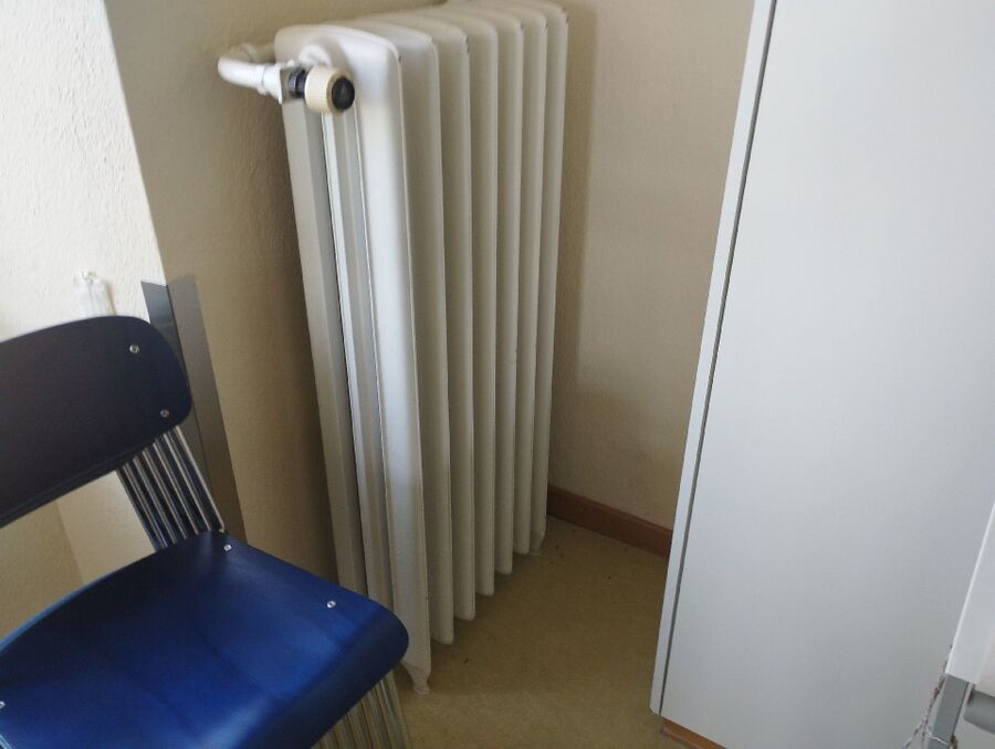 souris-rongeur-mulot-rats