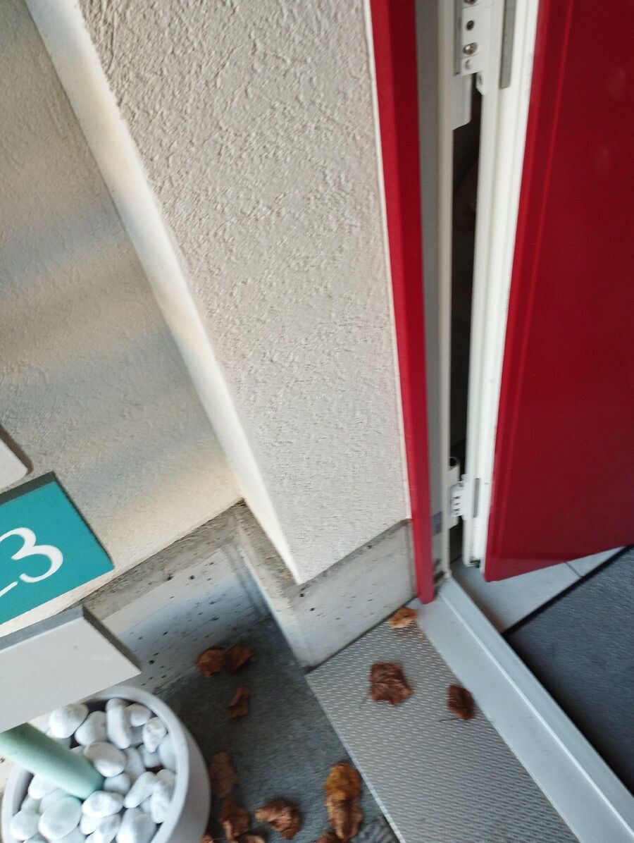 souris-rongeur-mulot-rats