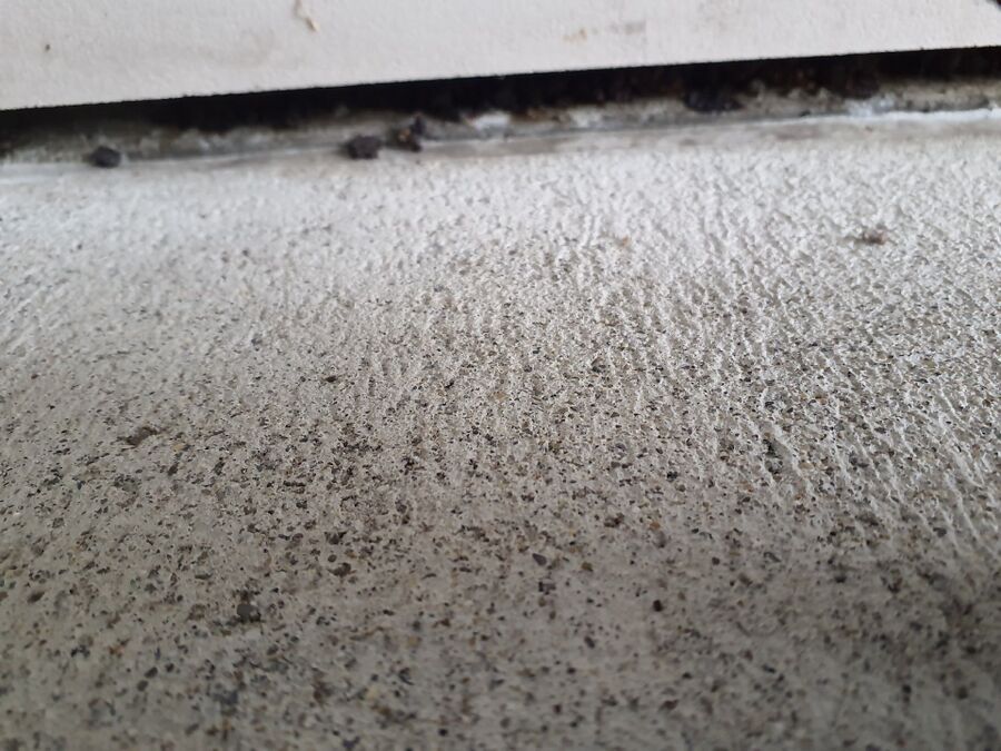 combattre-rats-ratton-rongeur-mulot