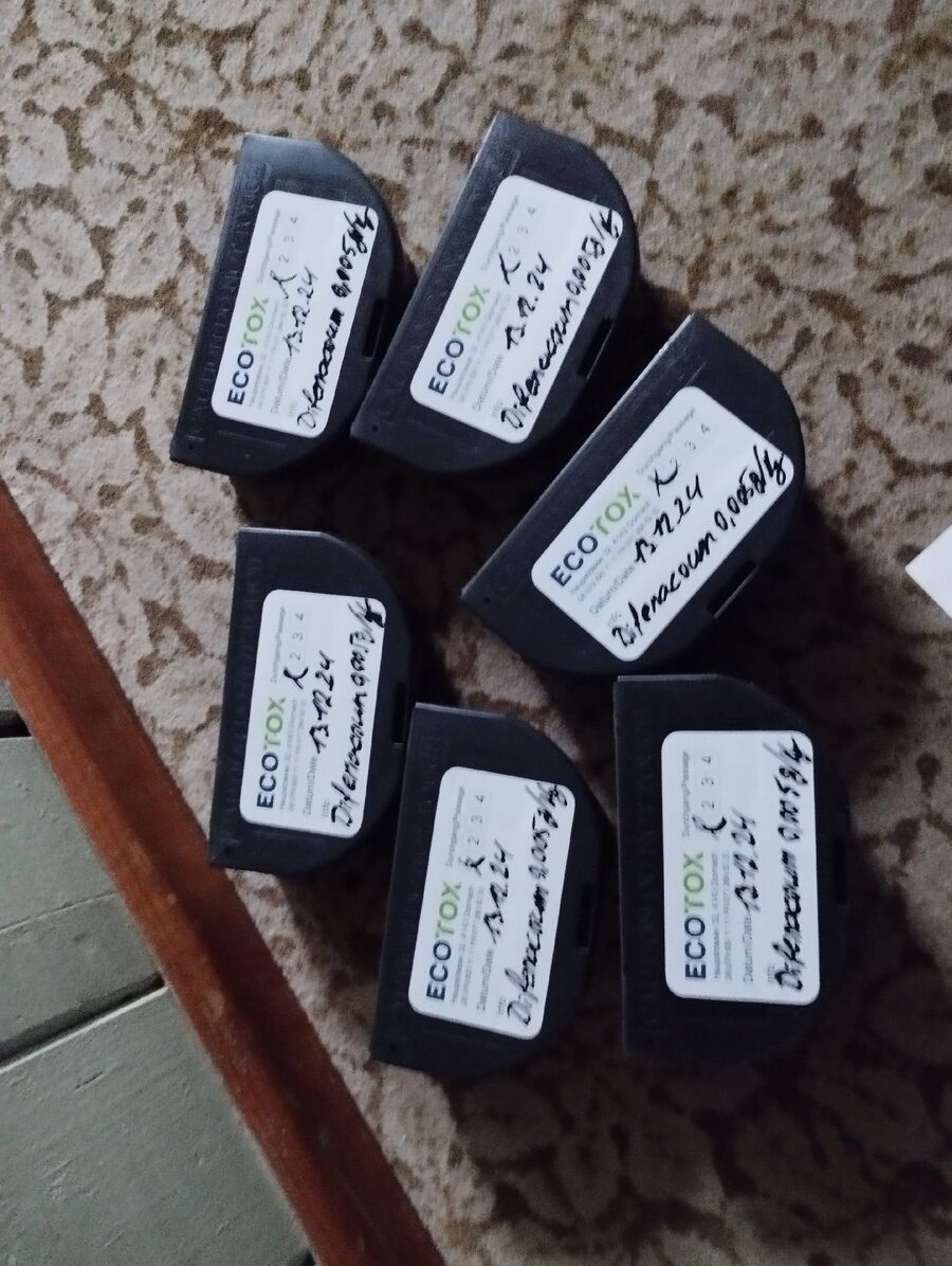 souris-rongeur-mulot-rats