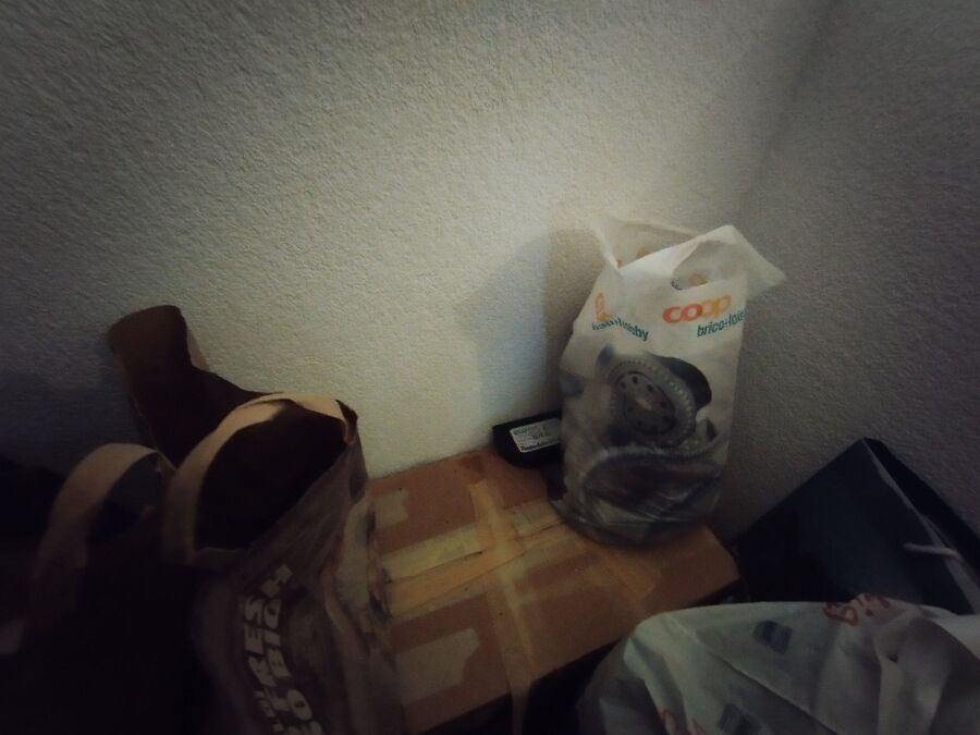 souris-rongeur-mulot-rats