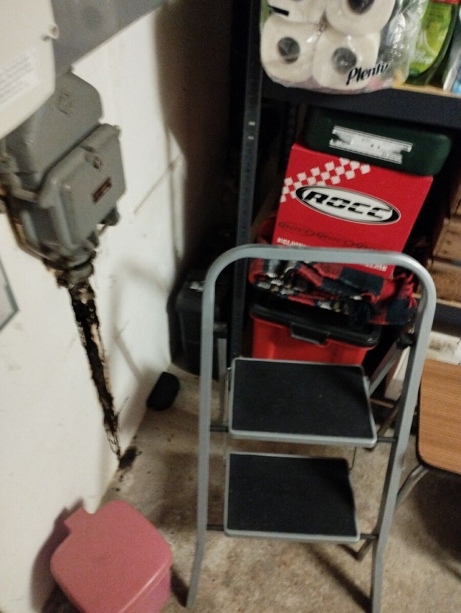 ratton-rats-rongeur-souris-deratiseur