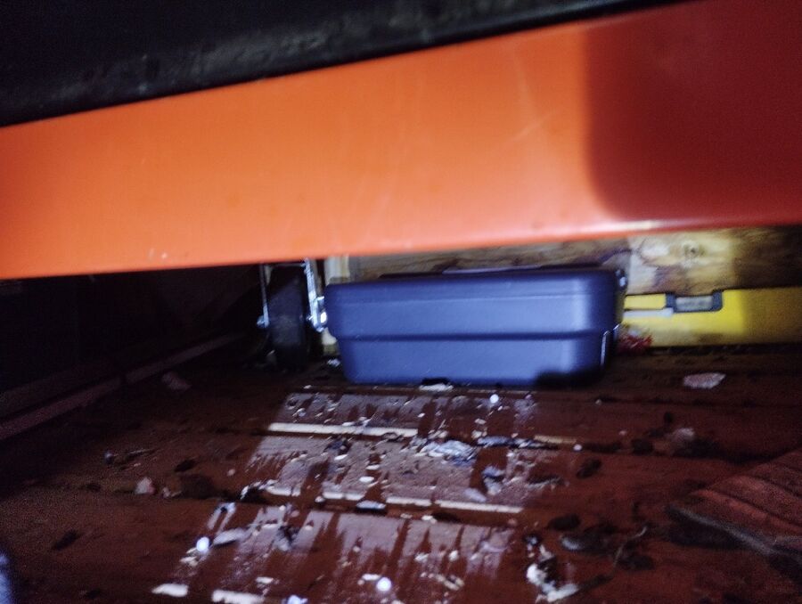 combattre-rats-ratton-rongeur-mulot