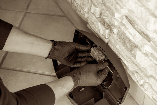 rats-rongeur-mulot-deratiseur