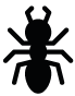 fourmis